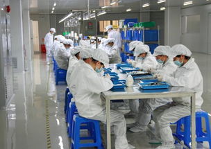 為何電子廠偏愛低學(xué)歷員工？揭秘書單不背的多重考量
